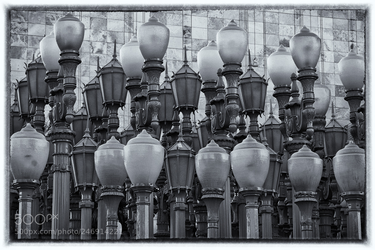 Canon EOS 7D sample photo. La lights photography