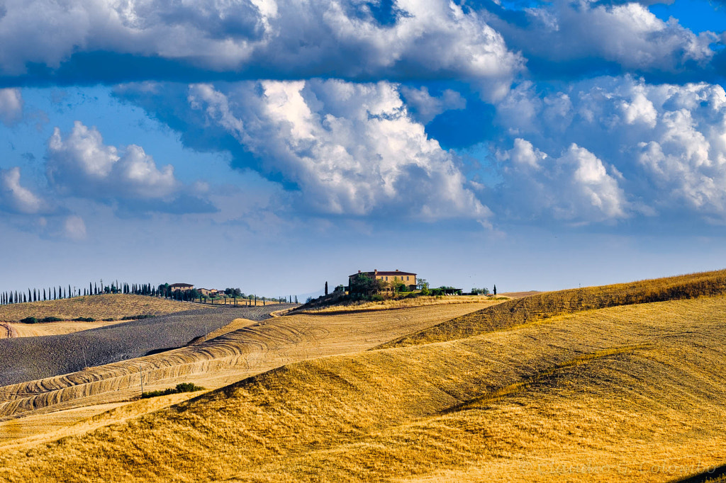 Summer landscape near Asciano by Claudio G. Colombo on 500px.com