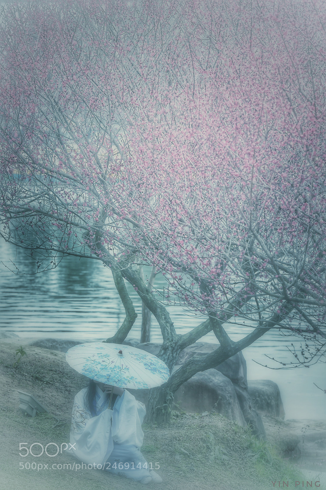 Nikon D5 sample photo. 花开时节 photography