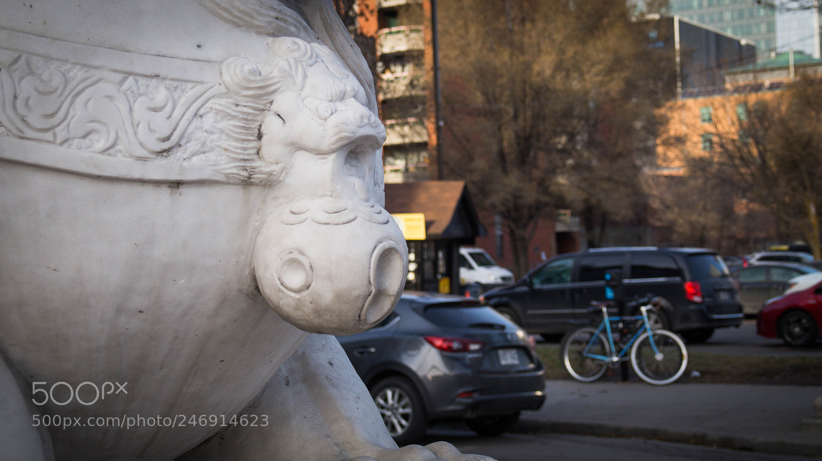 Sony Alpha a3500 sample photo. Montreal photography