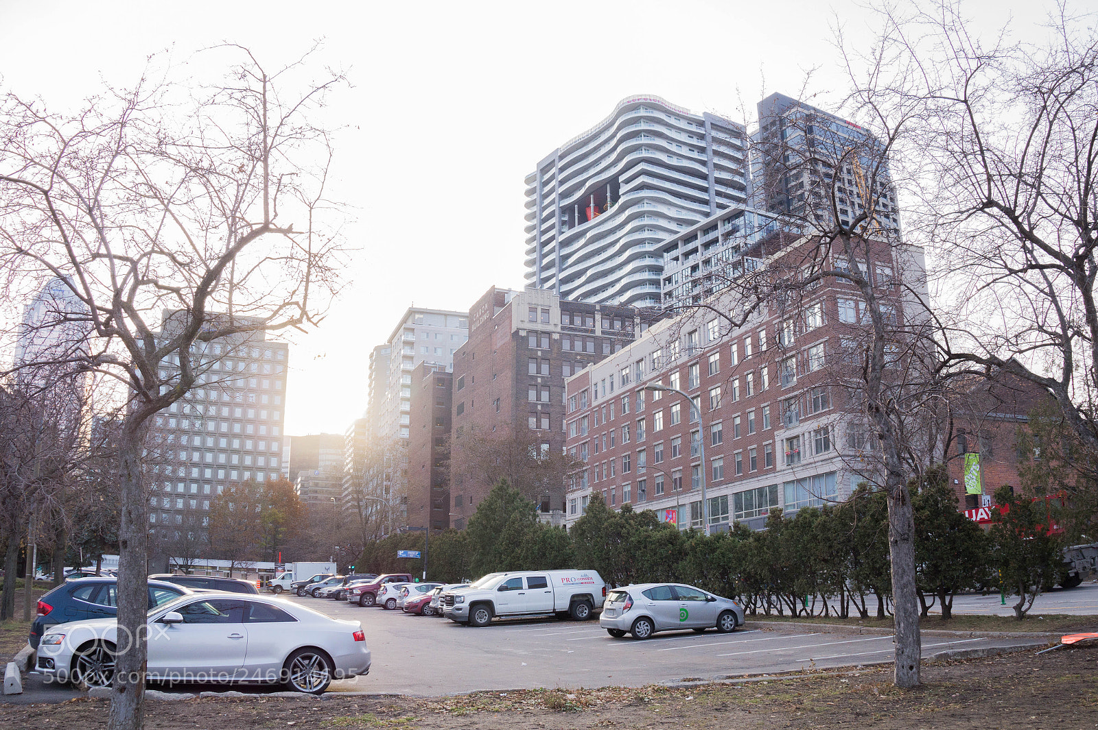 Sony Alpha a3500 sample photo. Montreal photography