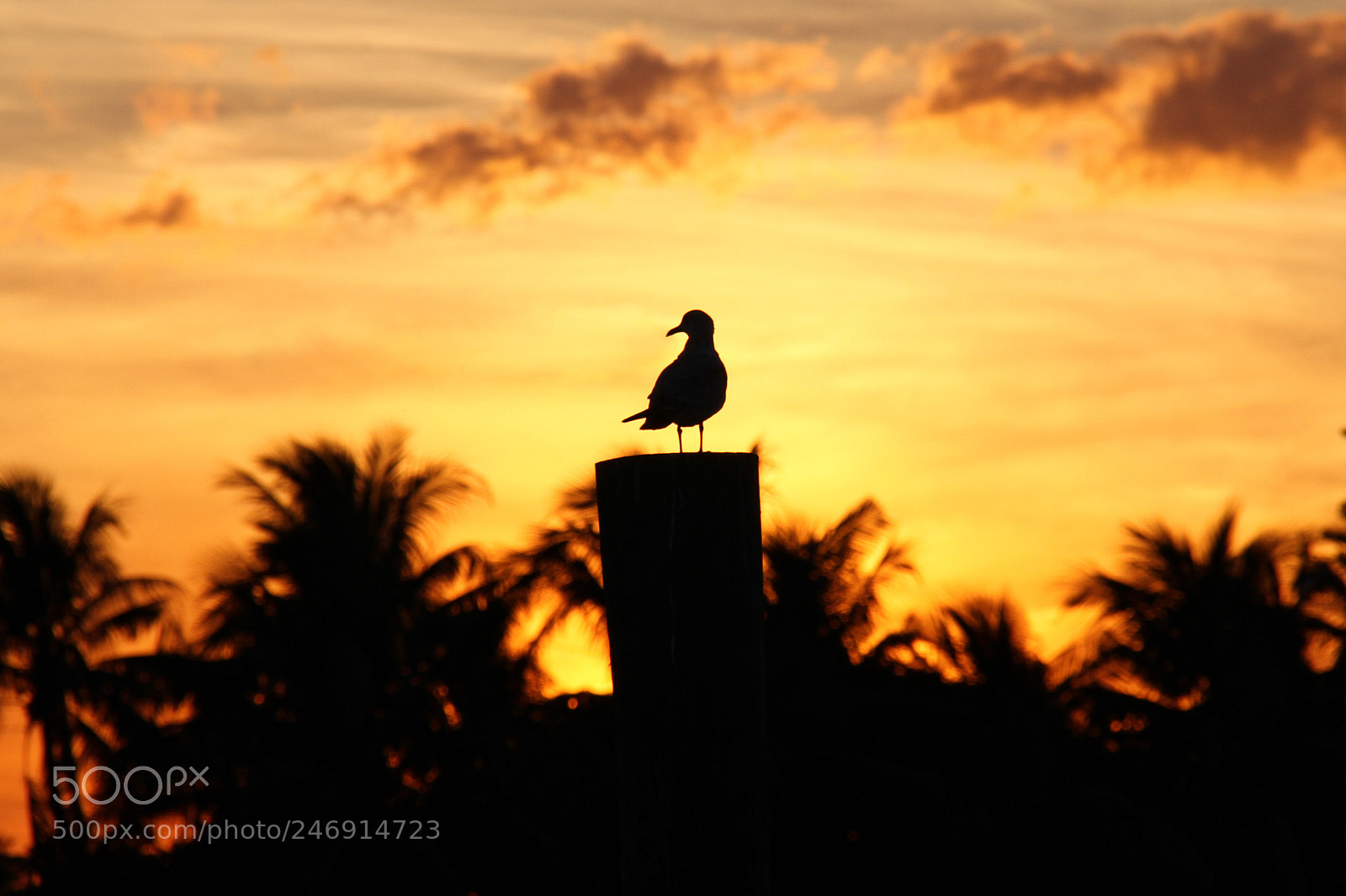 Canon EOS 7D sample photo. Untitled photography