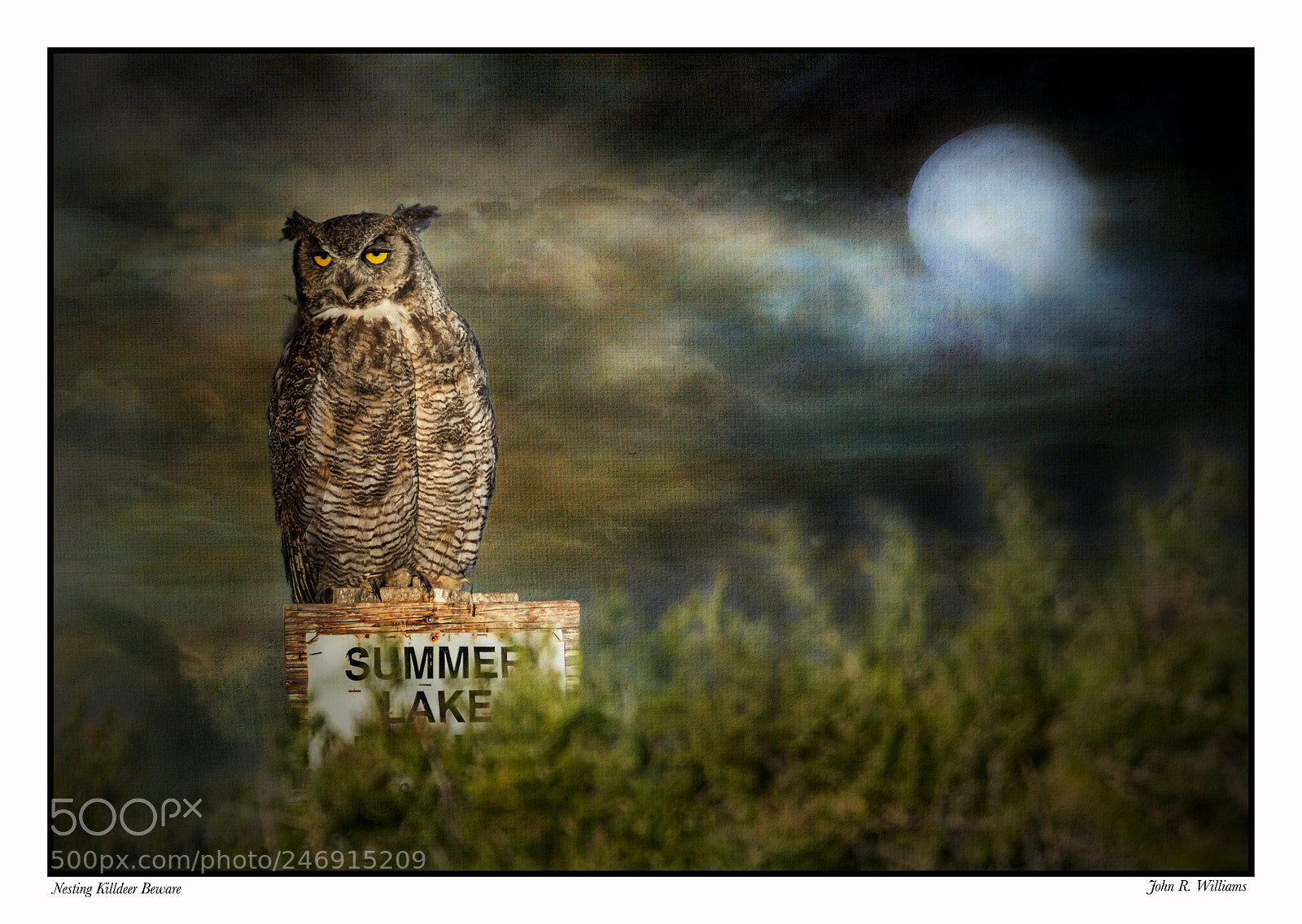 Canon EOS 7D Mark II sample photo. Gho ~ essay and poem photography