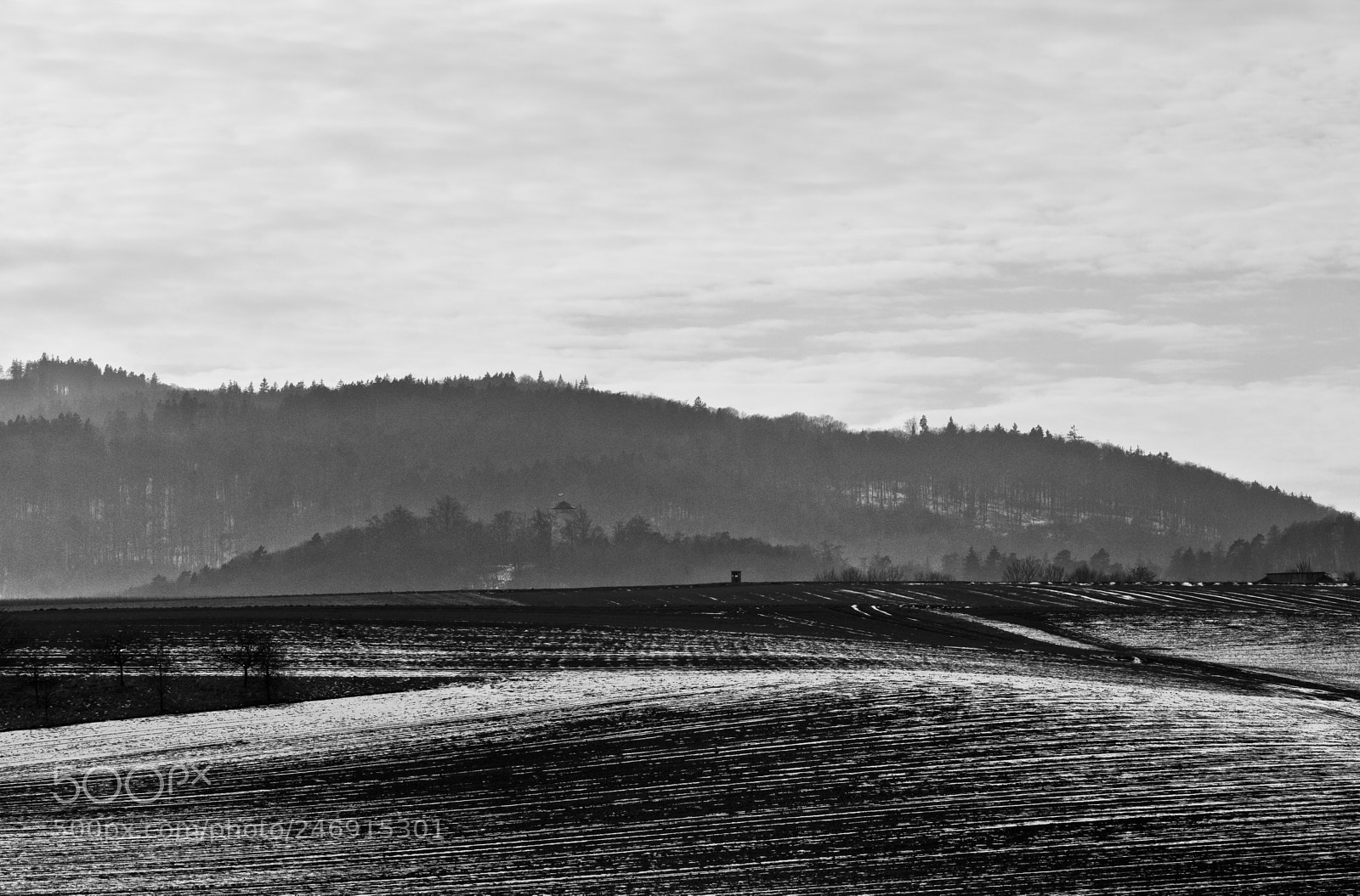 Canon EOS 60D sample photo. Winterly photography