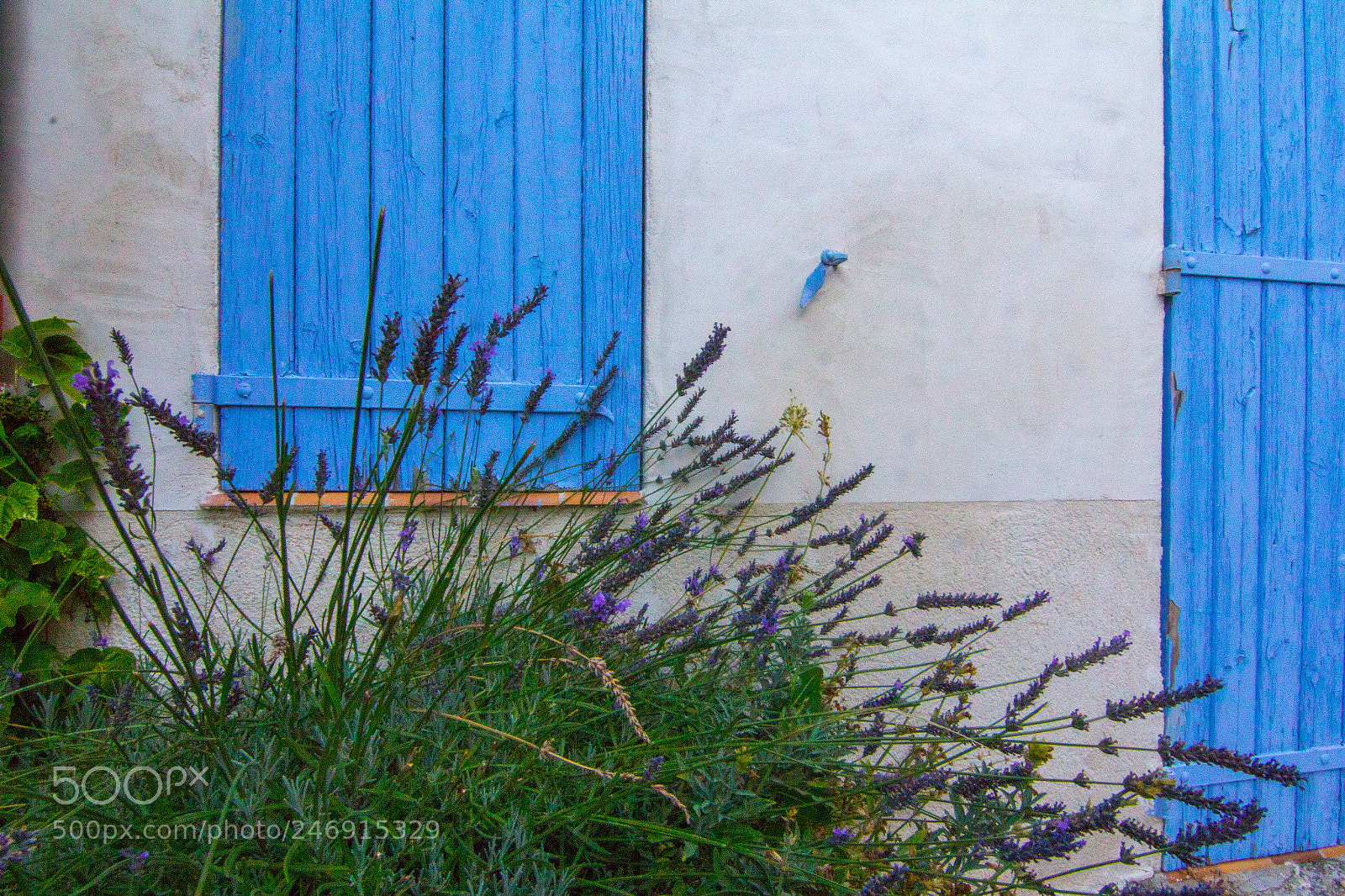 Canon EOS 60D sample photo. Blue and white photography