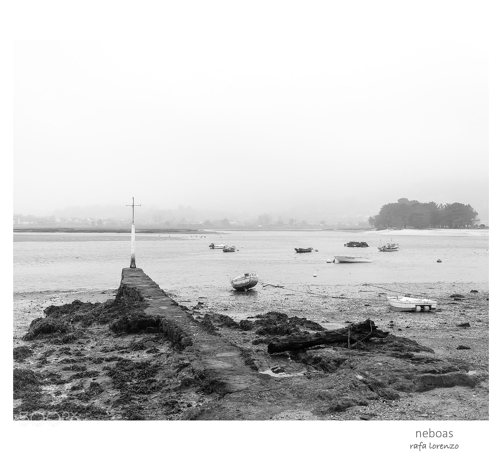 Nikon D90 sample photo. Neboas photography