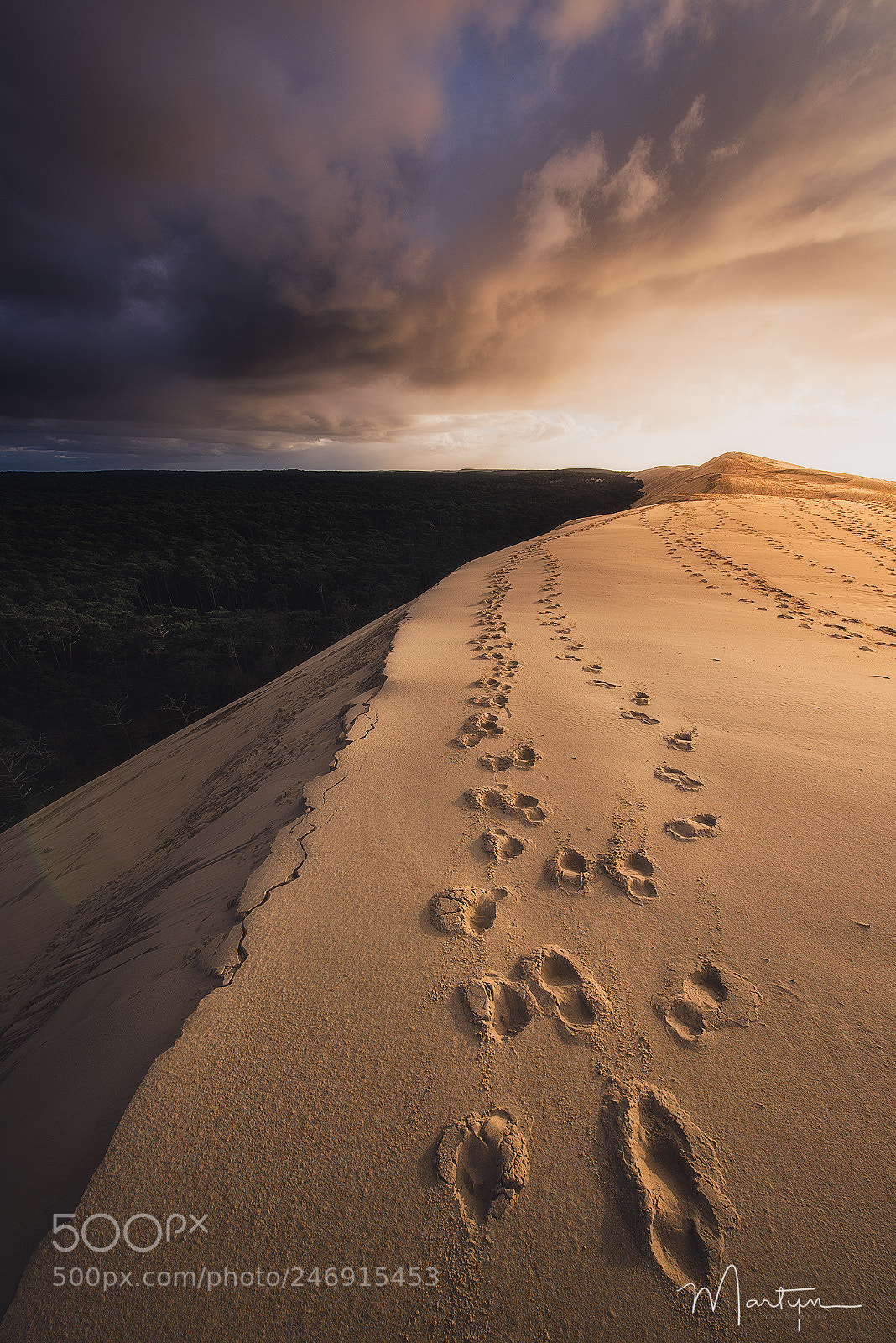 Nikon D600 sample photo. Dune du pilat photography