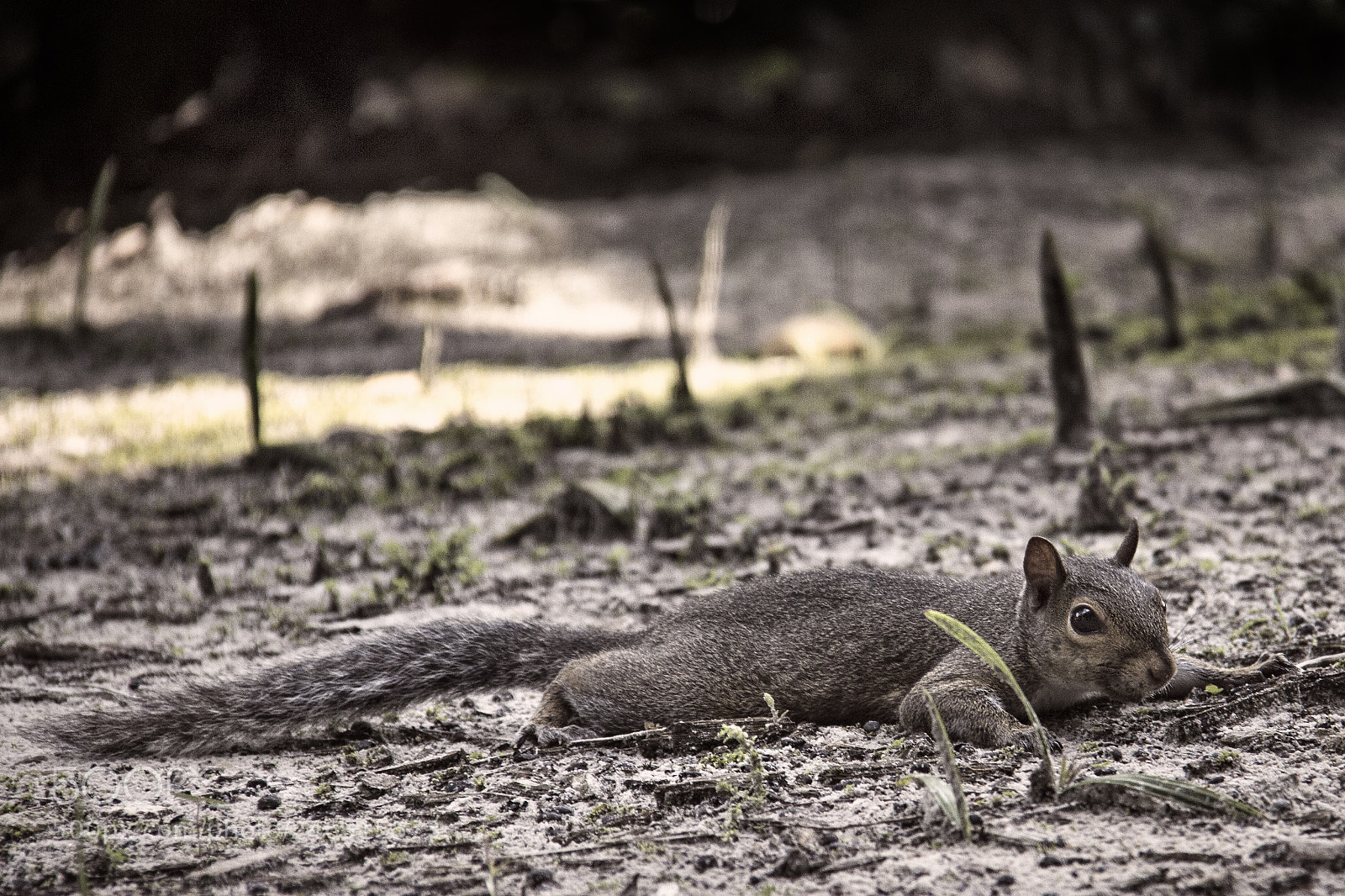 Canon EOS 7D sample photo. Untitled photography