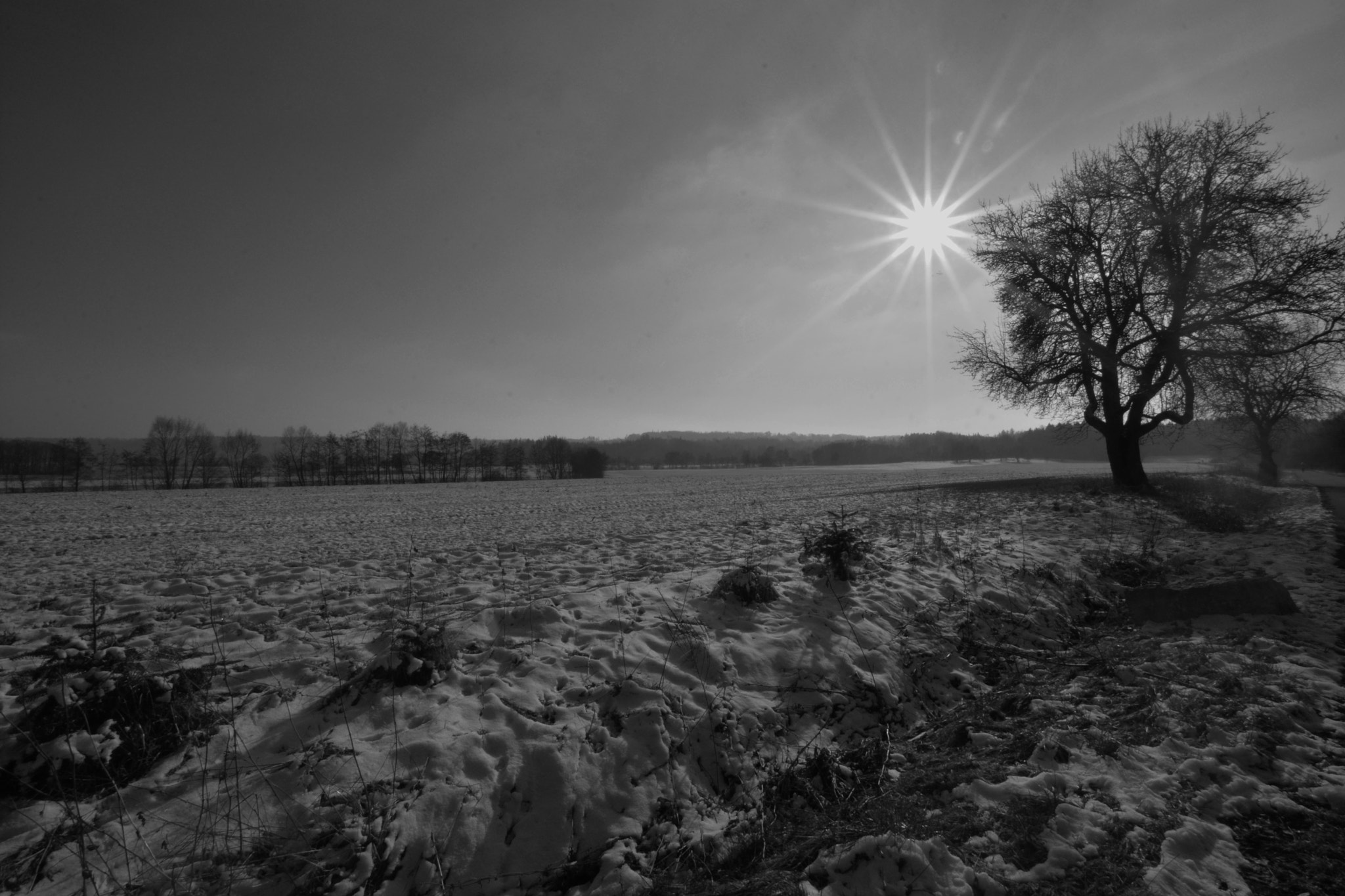 Nikon D7100 sample photo. Winter sun photography