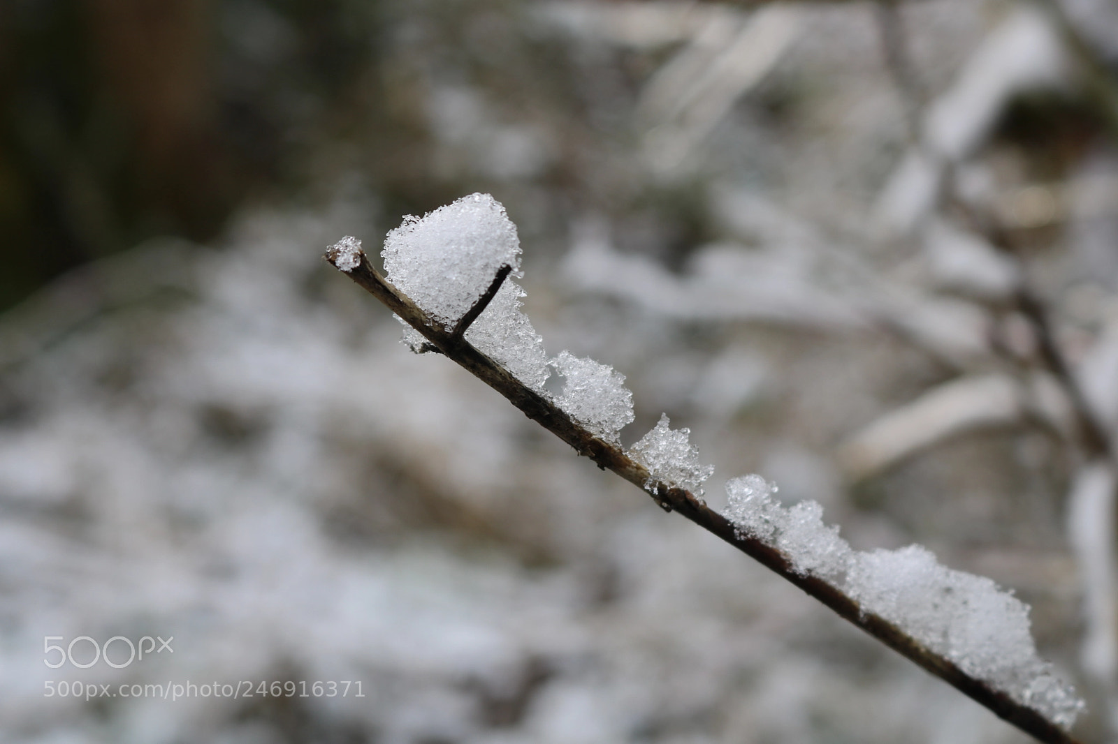 Canon EOS 750D (EOS Rebel T6i / EOS Kiss X8i) sample photo. Icey stick photography
