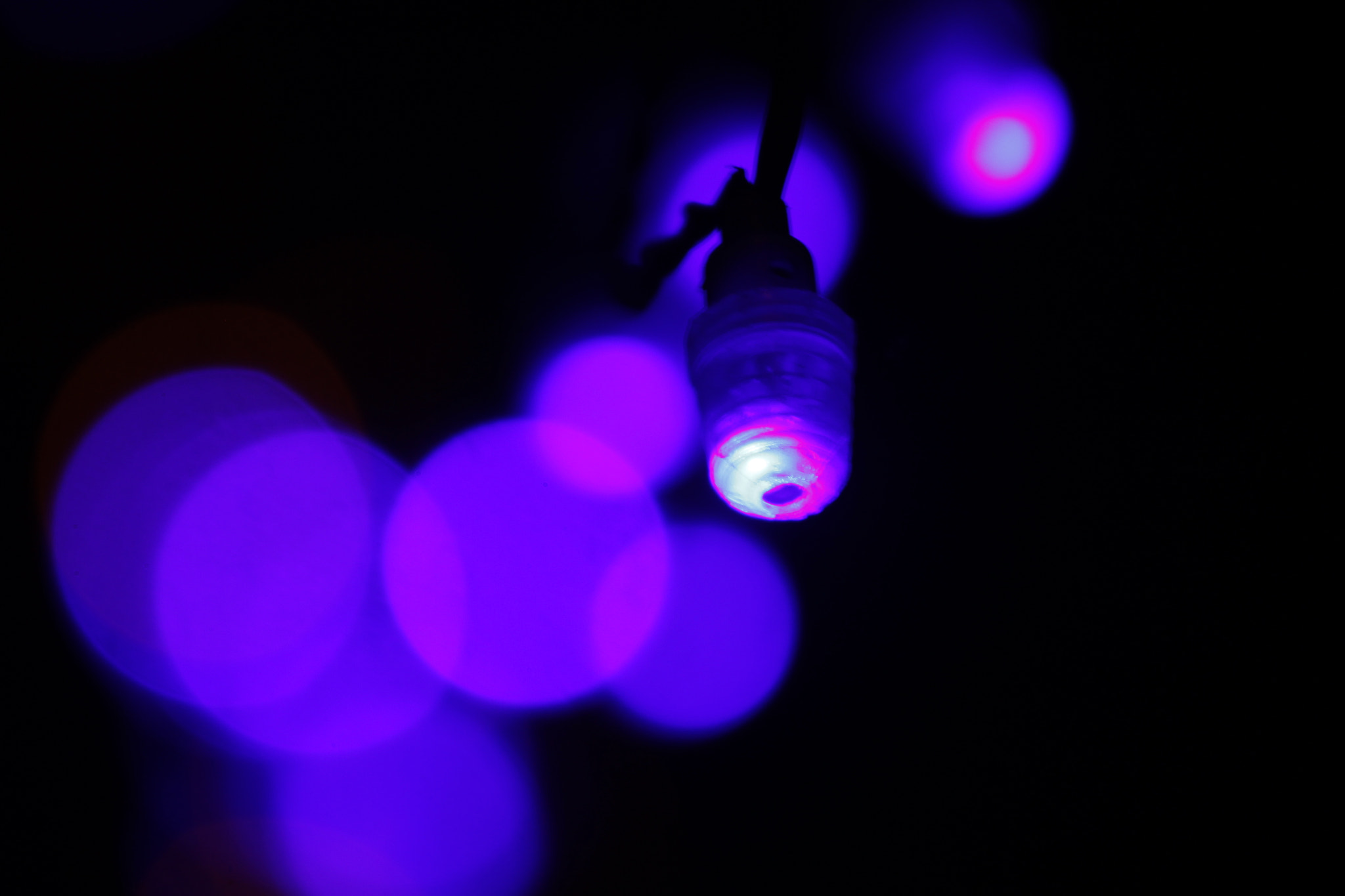 Canon EF 75-300mm f/4-5.6 USM sample photo. Blues photography