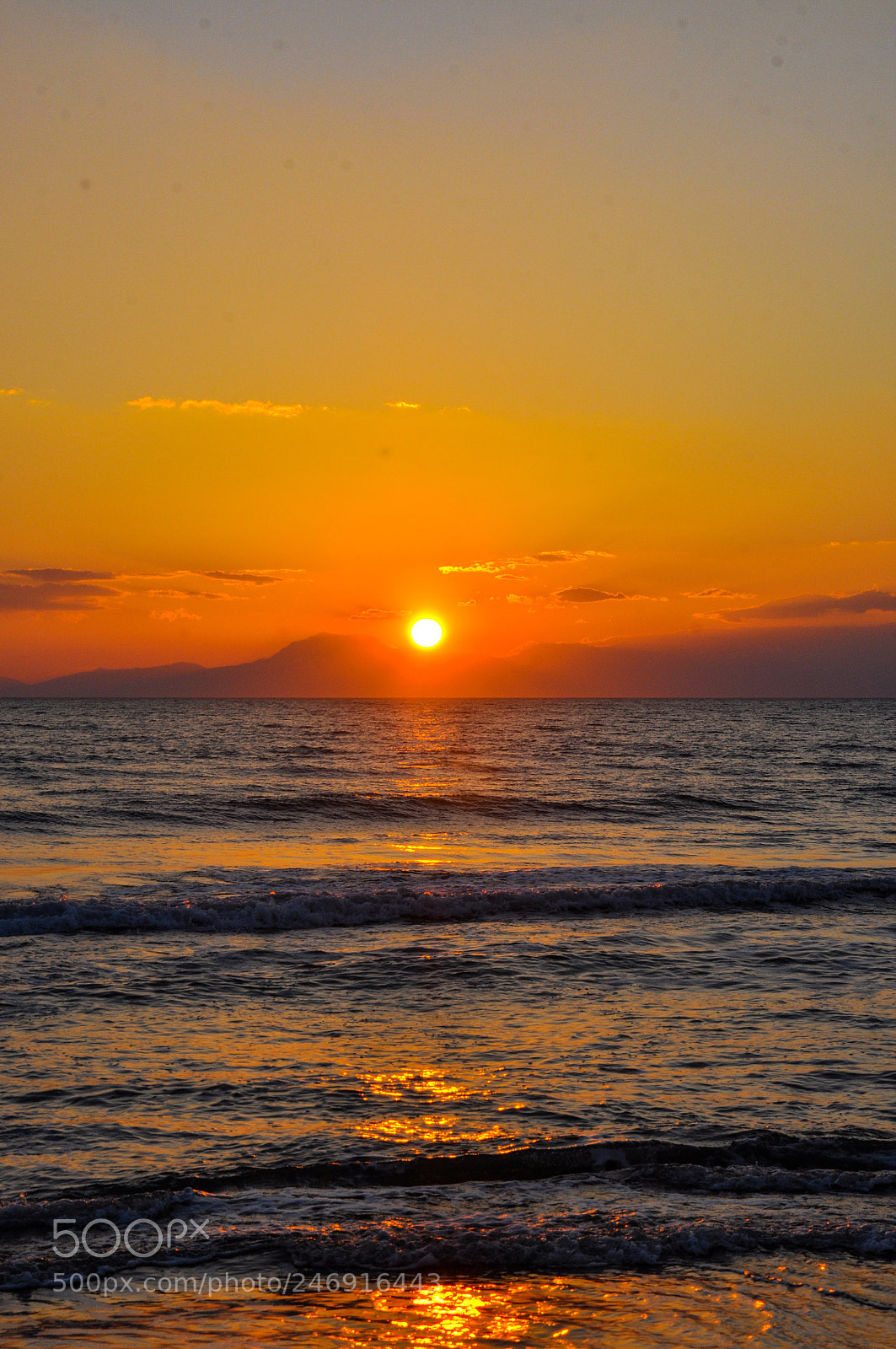 Nikon D90 sample photo. Untitled photography