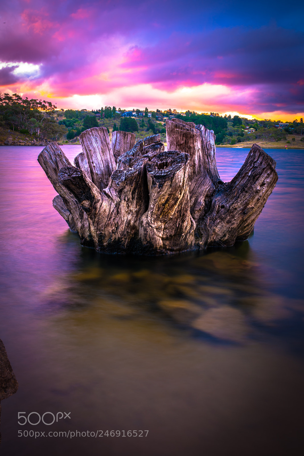 Nikon D810 sample photo. Purple sunset photography