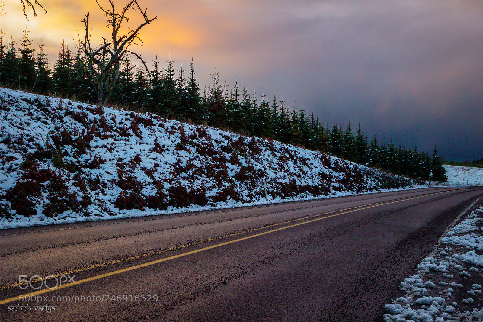 Canon EOS 600D (Rebel EOS T3i / EOS Kiss X5) sample photo. Rural road photography