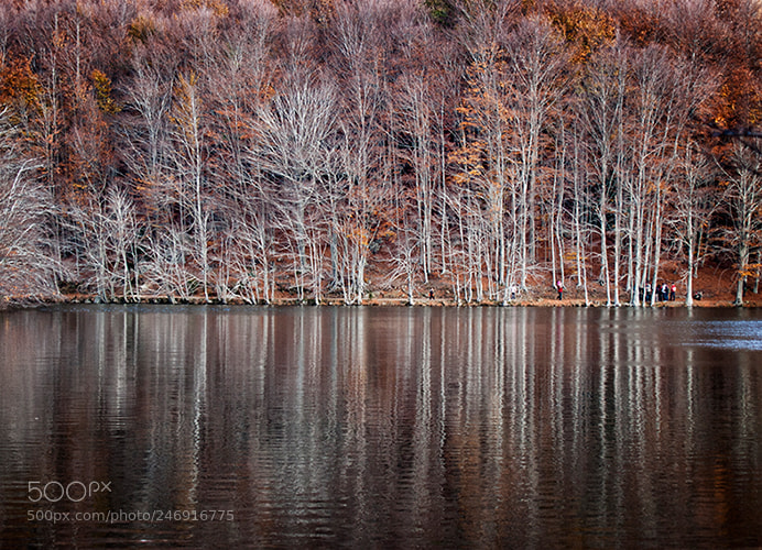 Olympus E-510 (EVOLT E-510) sample photo. Lago en el montseny photography