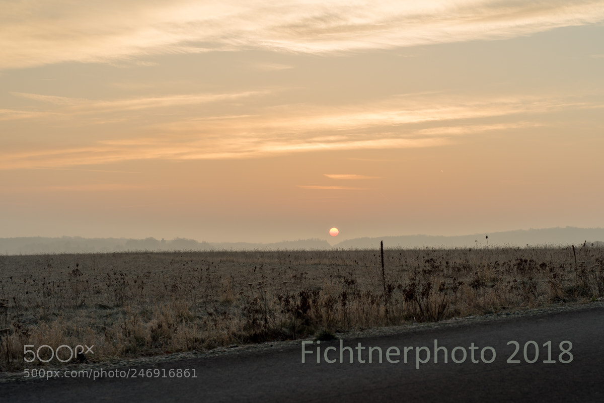 Nikon D810 sample photo. Beauty rising photography