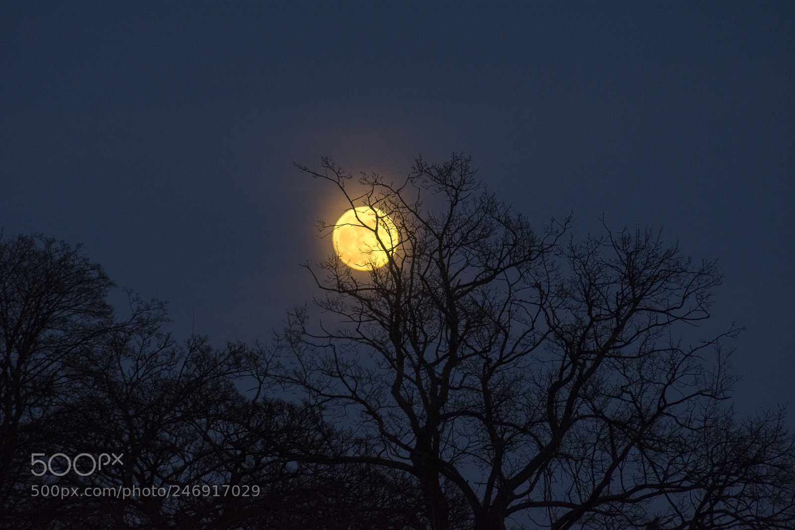 Nikon D7100 sample photo. Full moon photography