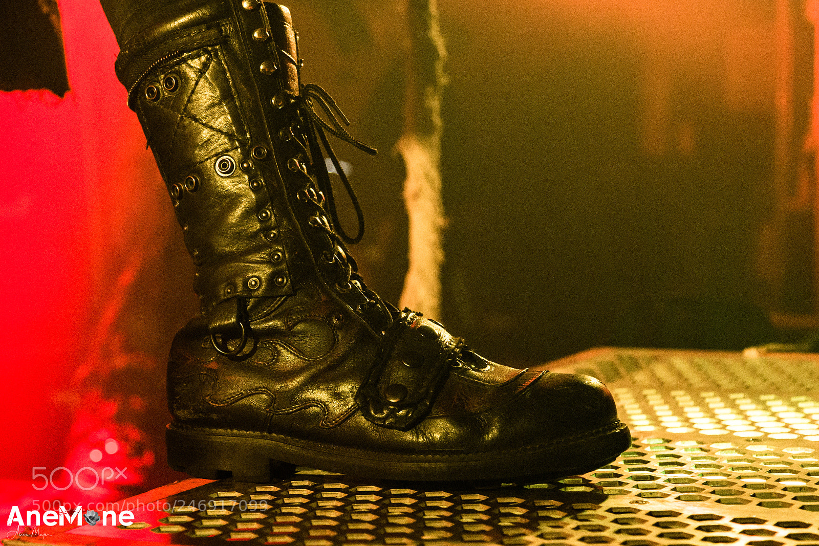 Canon EOS-1D X sample photo. Wednesday 13 photography