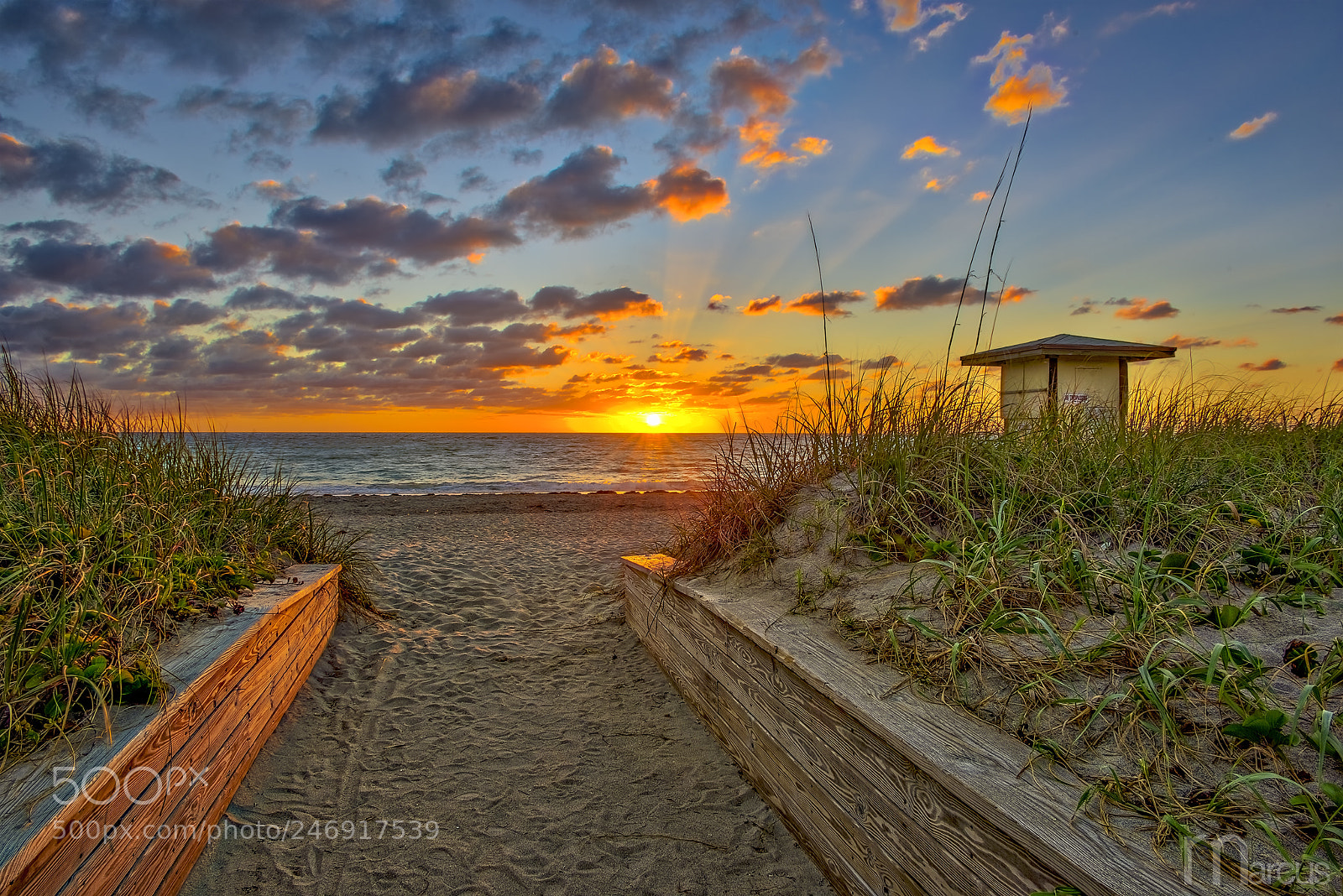 Nikon D810 sample photo. Morning by the beach photography