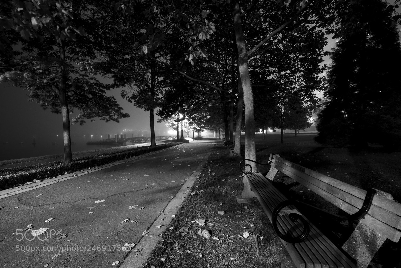 Nikon D800 sample photo. Empty photography