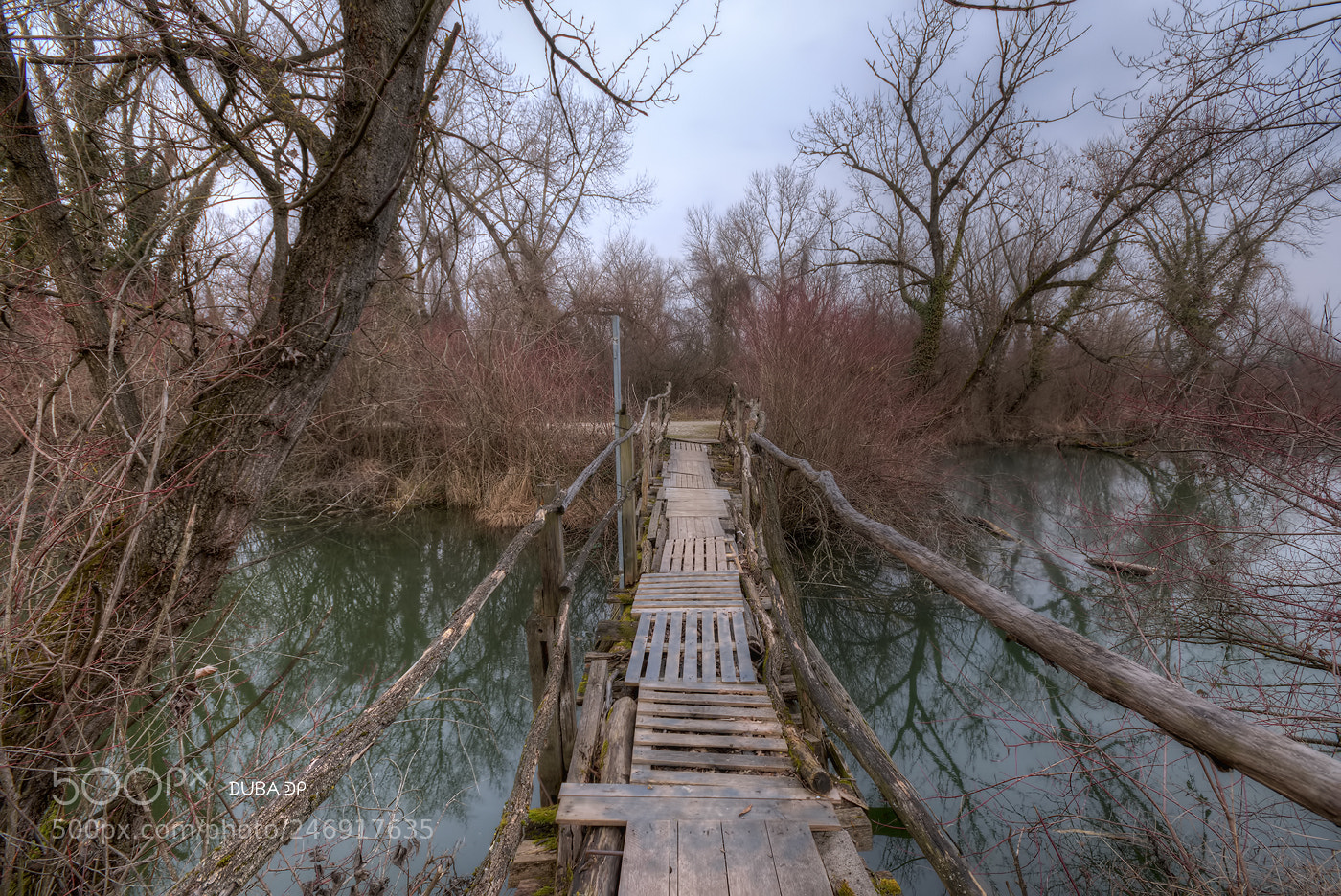 Nikon D7200 sample photo. The bridge photography