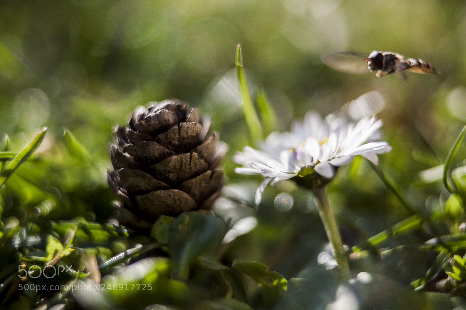 Canon EOS 5D sample photo. Small paradise photography