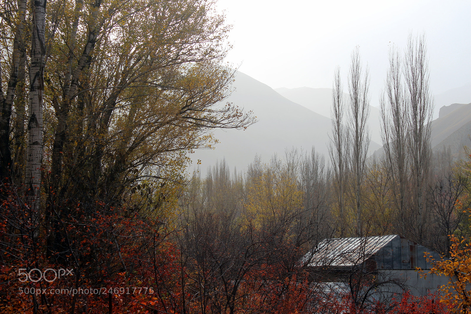 Canon EOS 600D (Rebel EOS T3i / EOS Kiss X5) sample photo. Autumn photo photography