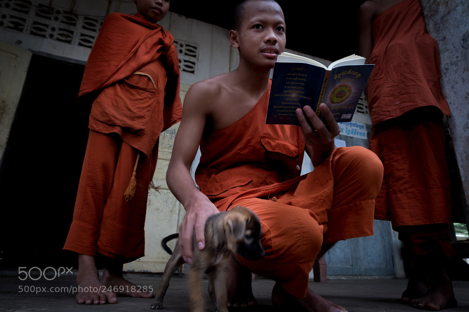 Fujifilm X-T20 sample photo. Buddist monks photography