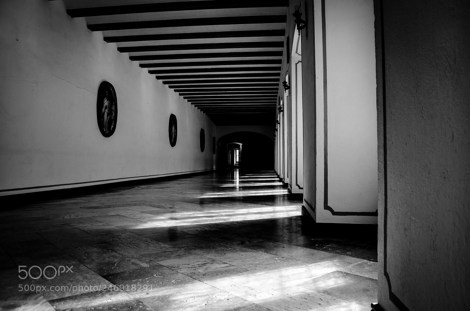 Nikon D5100 sample photo. Hall... photography