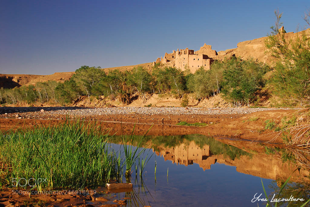 Nikon D80 sample photo. Valley of the dad photography