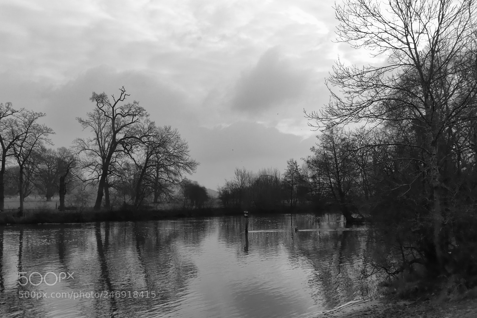 Nikon D7100 sample photo. River photography
