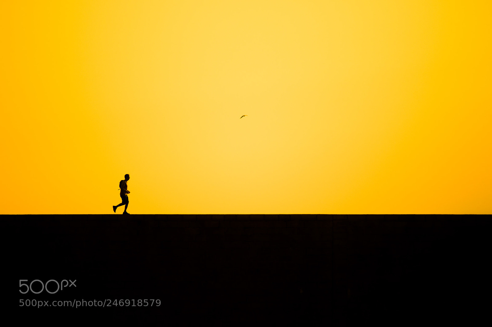 Canon EOS 7D Mark II sample photo. Silhouette photography