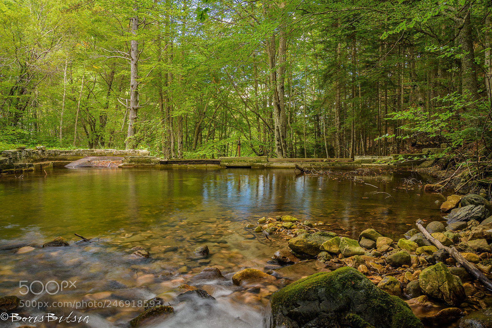 Nikon D7200 sample photo. Forest fairy tale photography