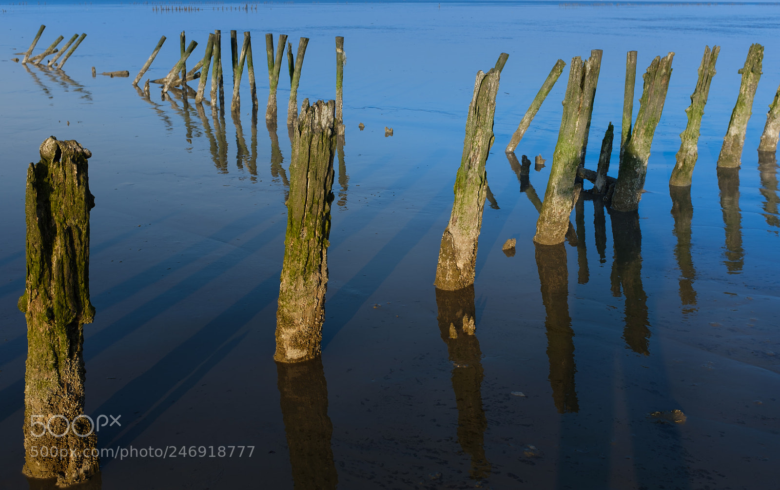 Fujifilm X100F sample photo. Paaltjes in het wad photography