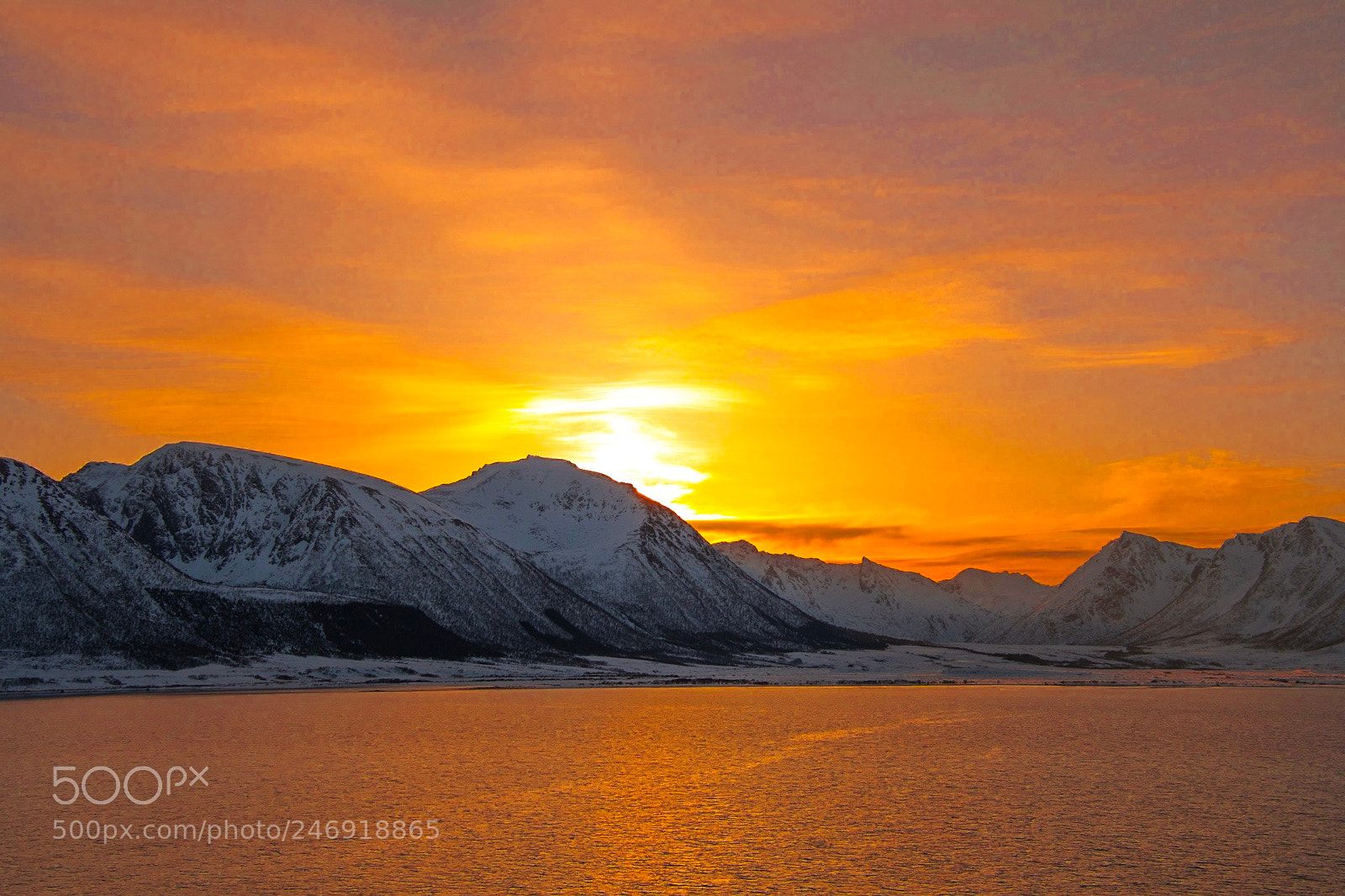 Nikon D7500 sample photo. Late polar sun photography