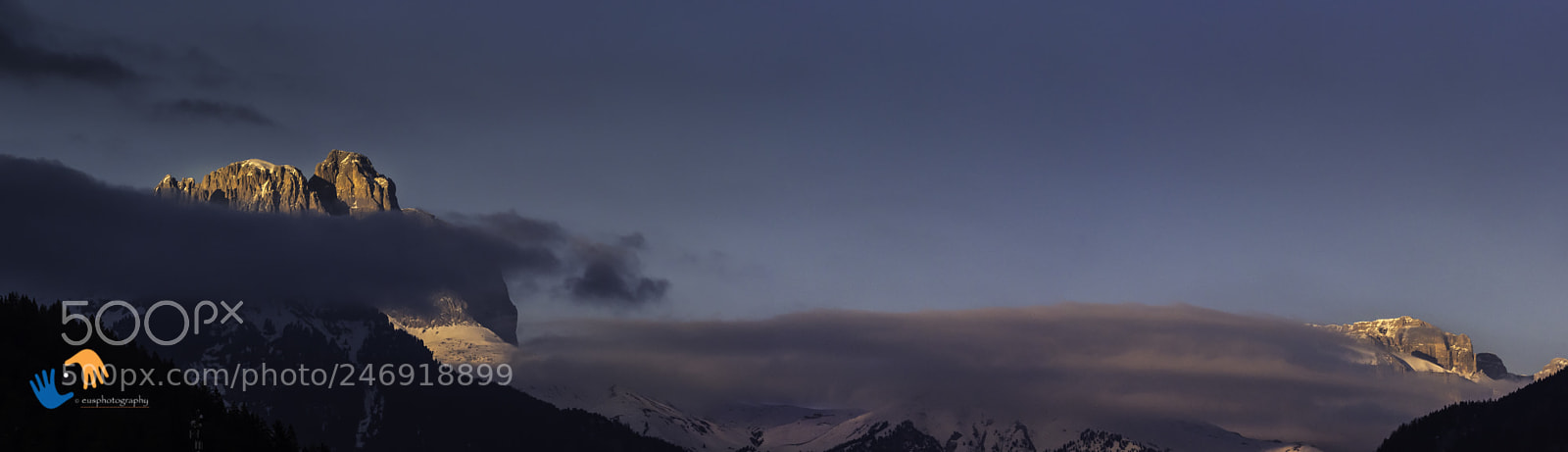 Olympus OM-D E-M1 Mark II sample photo. The last sunlight colors photography