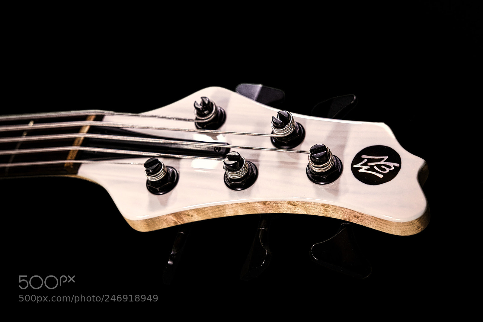 Nikon D7200 sample photo. Maple & cream photography