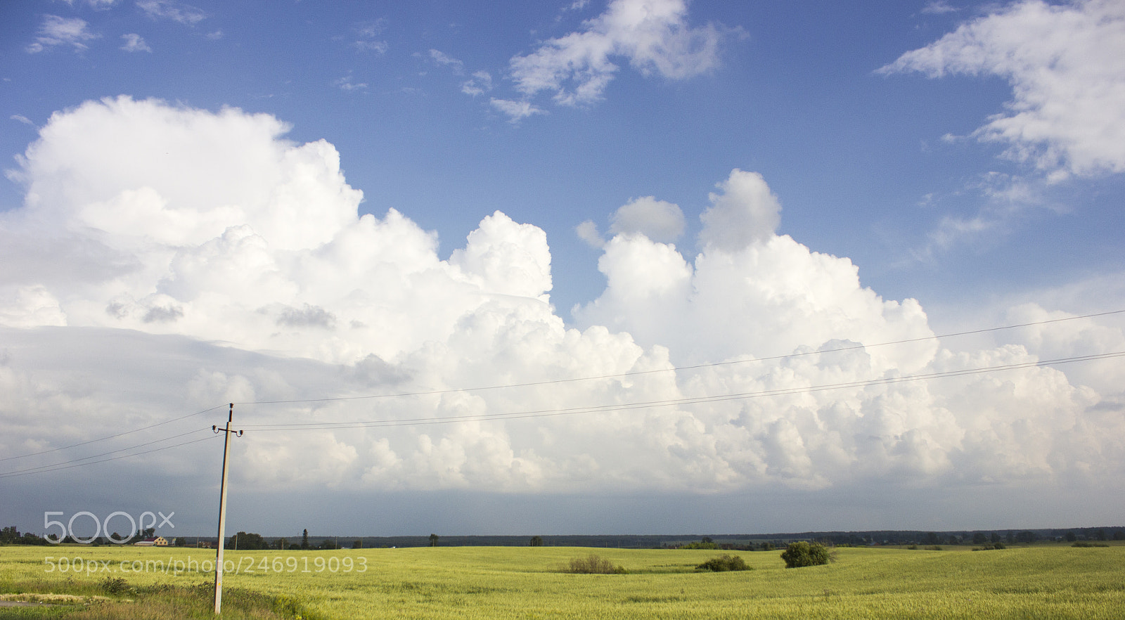Canon EOS 550D (EOS Rebel T2i / EOS Kiss X4) sample photo. The nature welcoms you photography