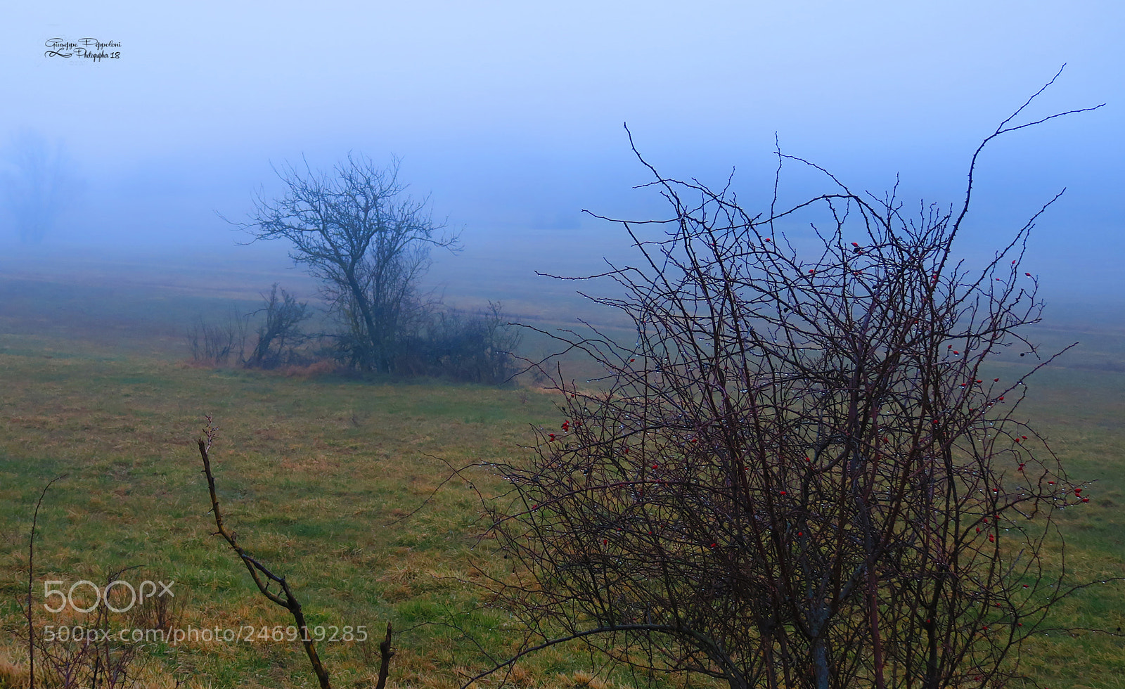 Canon PowerShot G3 X sample photo. Fog photography