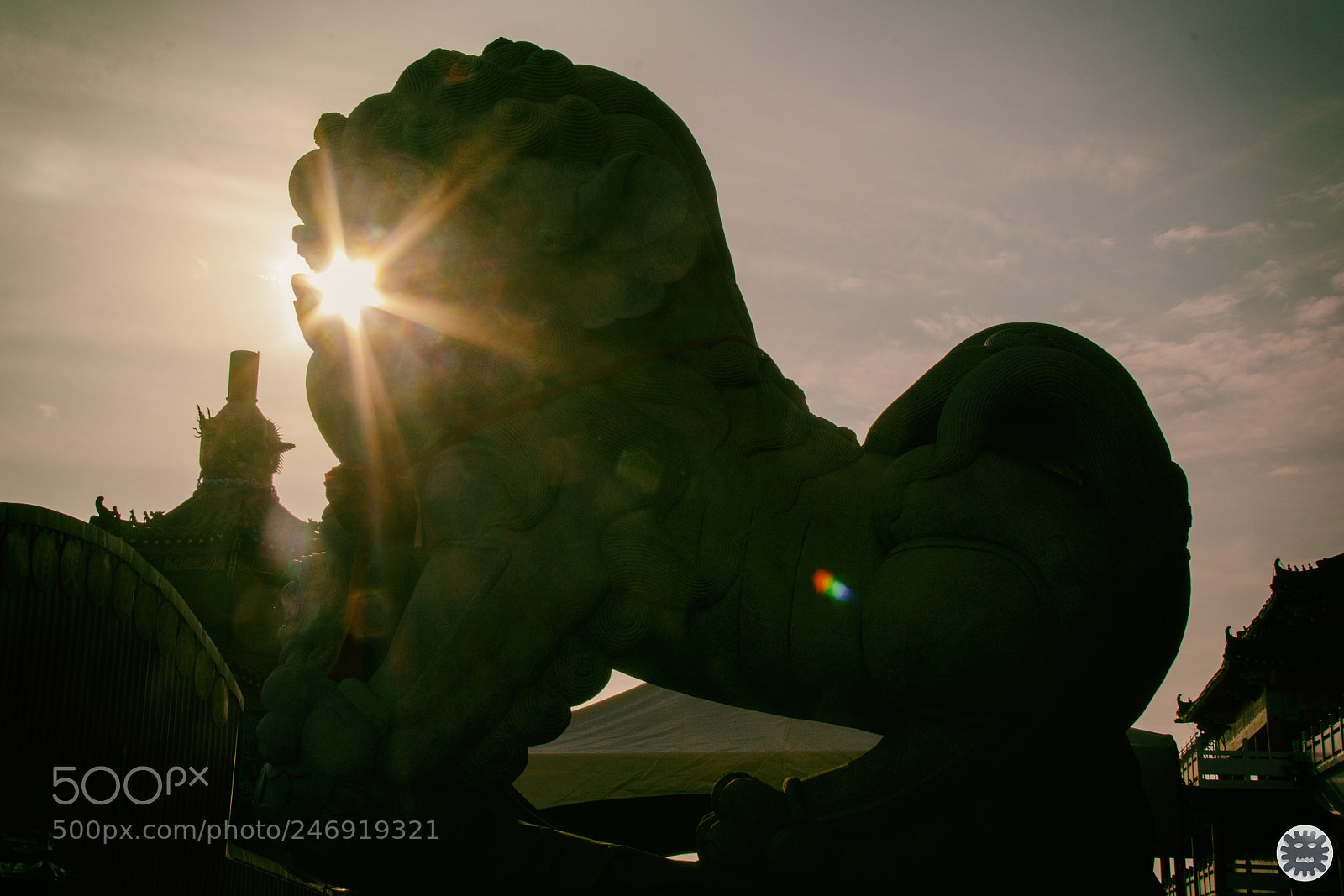 Canon EOS 7D Mark II sample photo. Untitled photography