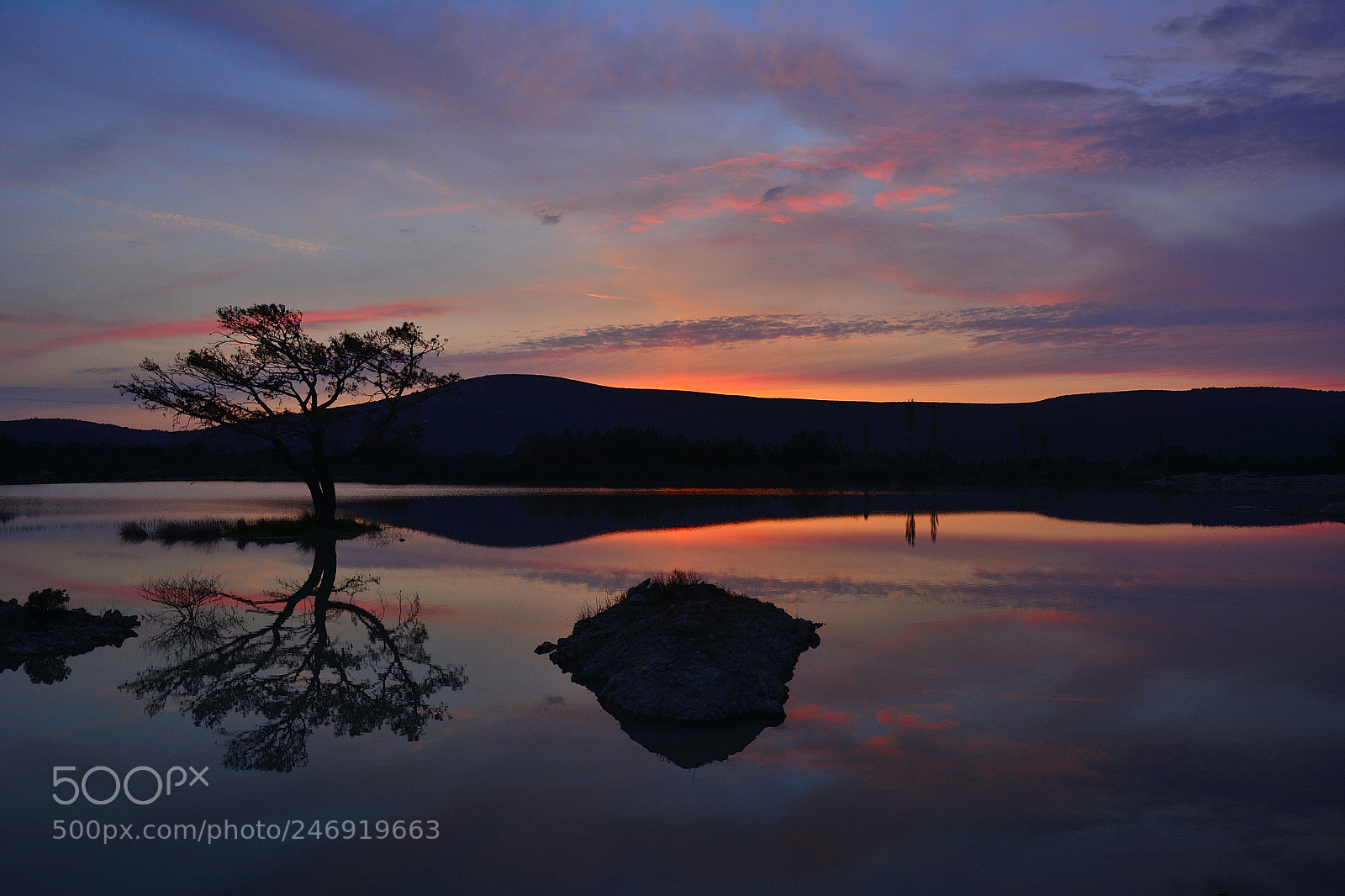 Nikon D7100 sample photo. Tree-sunset photography