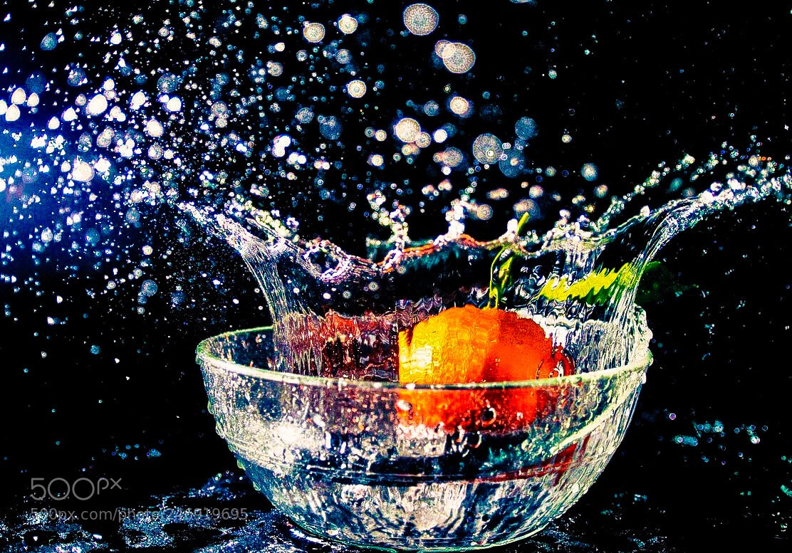 Nikon D300 sample photo. Untitled photography