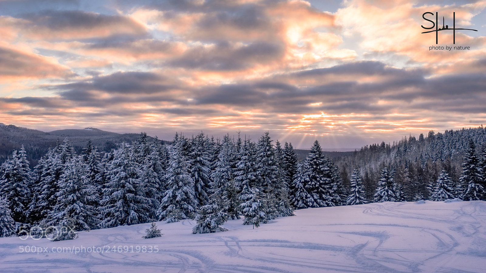 Sony a7 sample photo. Sonnenaufgang vom sonnenberg photography