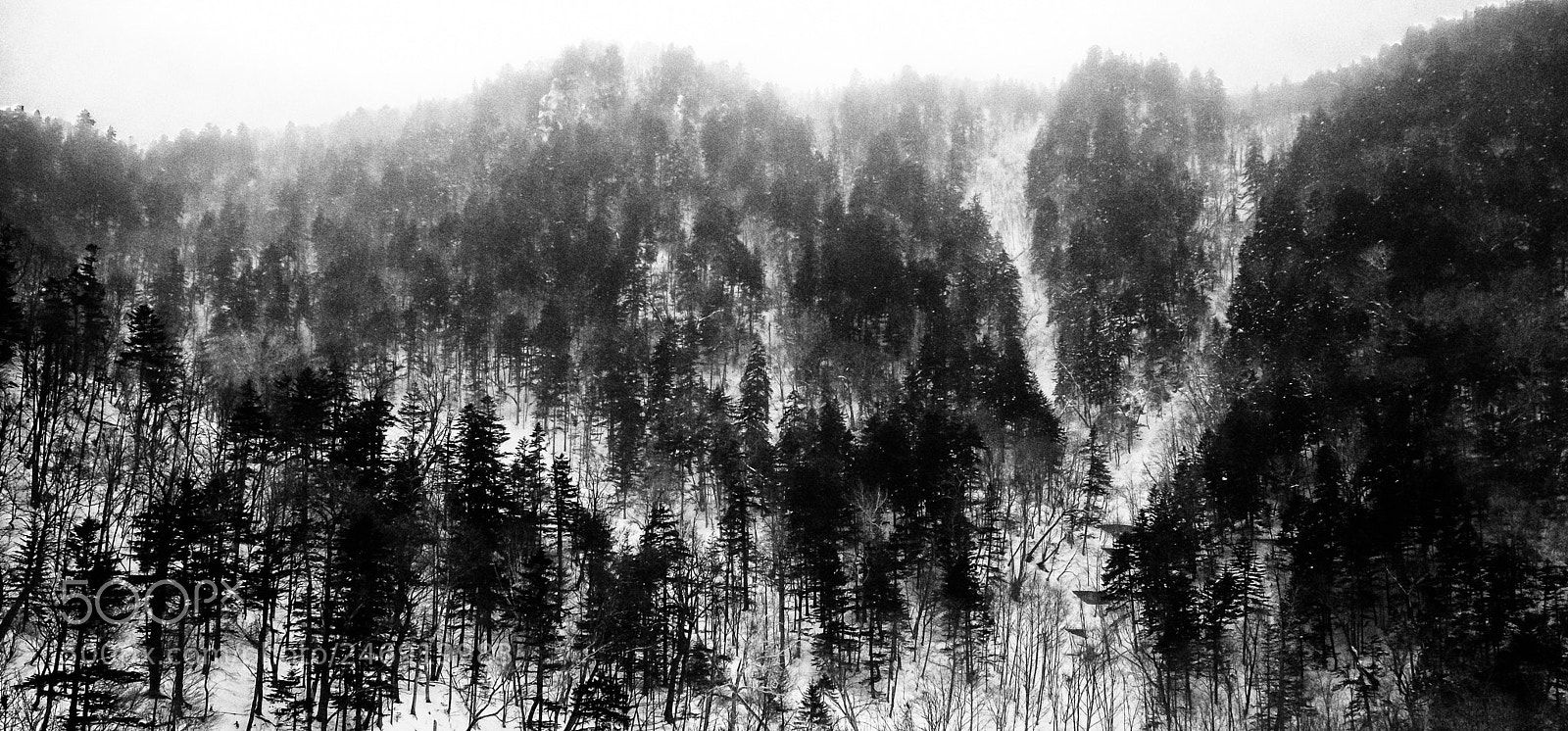 Fujifilm X-E1 sample photo. 水墨窗景 photography
