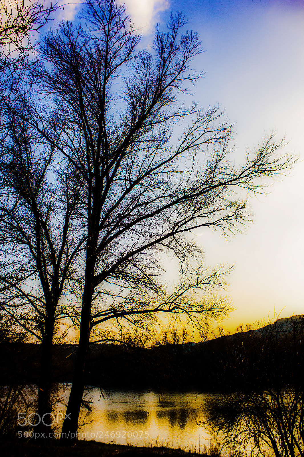 Canon EOS 550D (EOS Rebel T2i / EOS Kiss X4) sample photo. Big fish photography