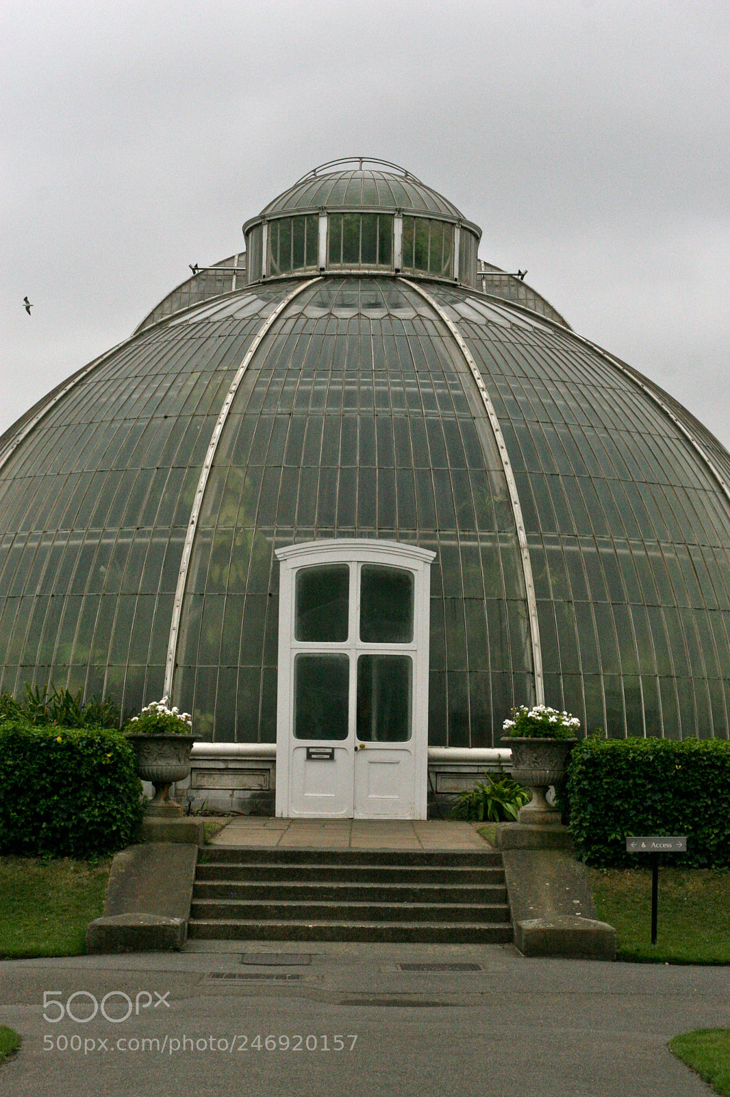 Canon EOS 30D sample photo. The palm house at photography