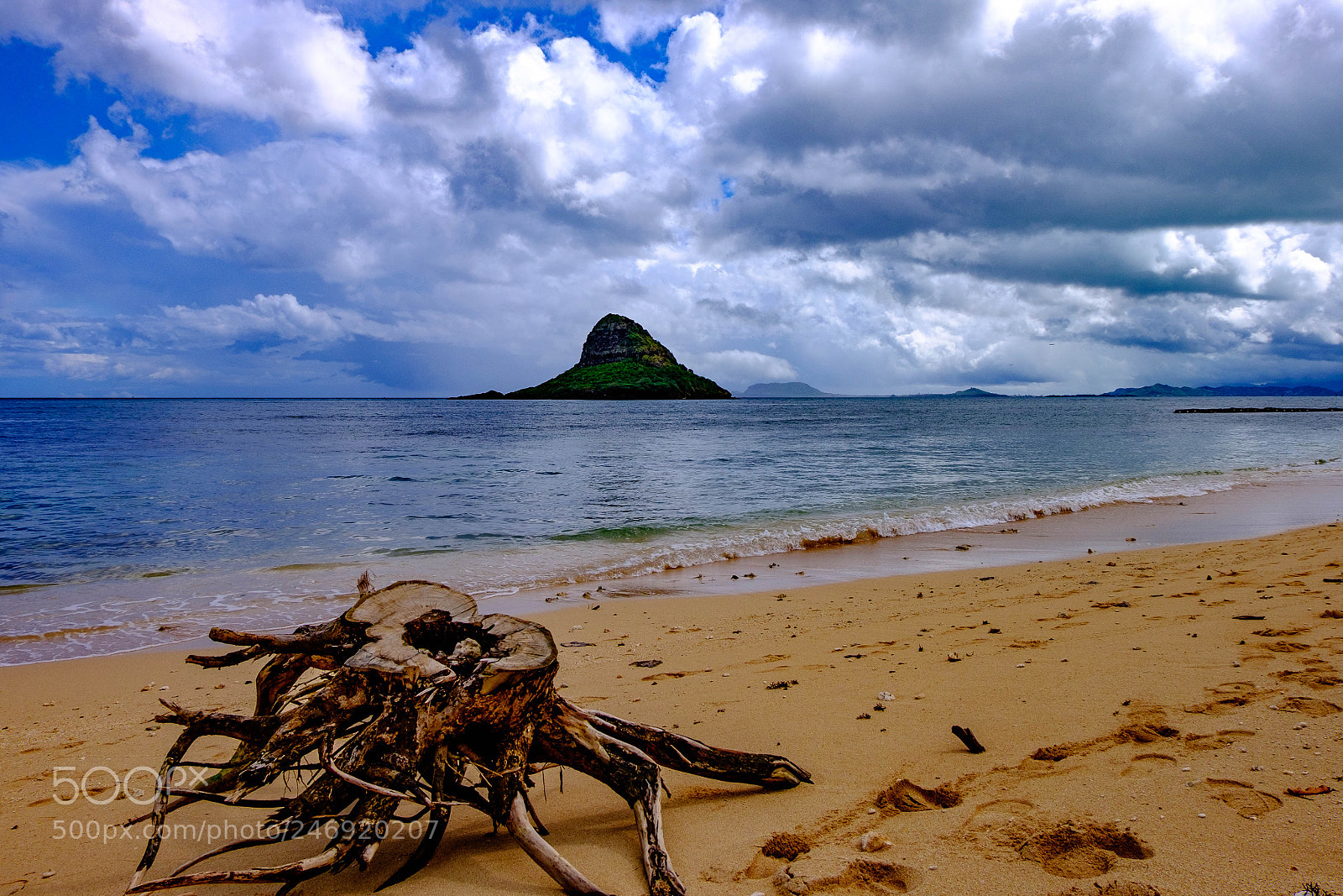 Fujifilm X-T1 sample photo. Dscf9337-2.jpg photography