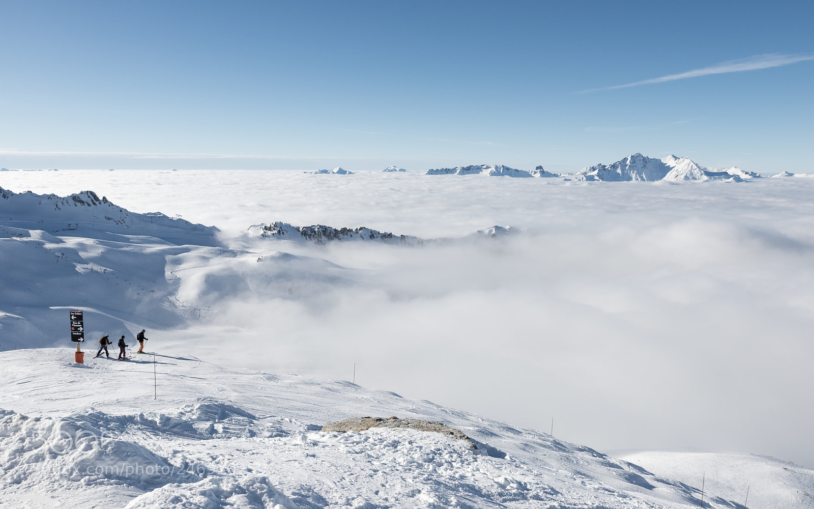 Nikon D610 sample photo. Going in the mist photography