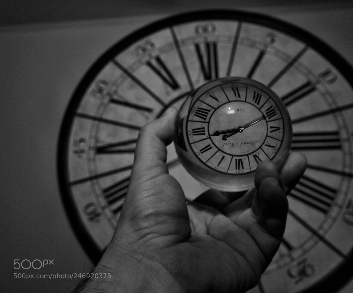 Nikon D300 sample photo. Untitled photography