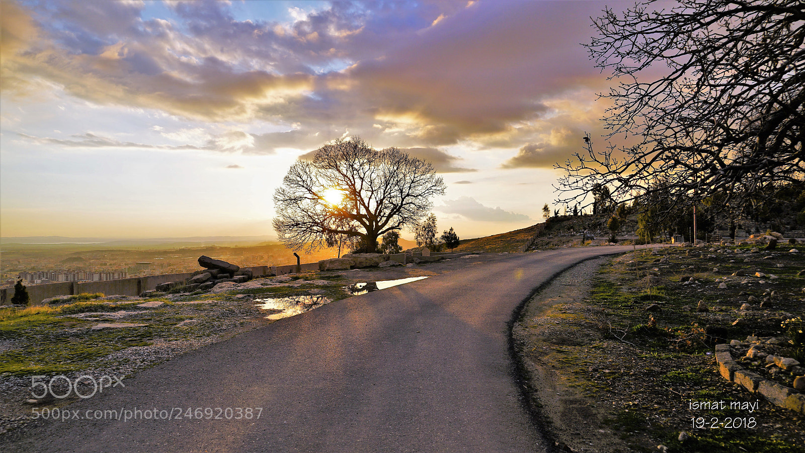 Sony a7 II sample photo. 8.jpg photography